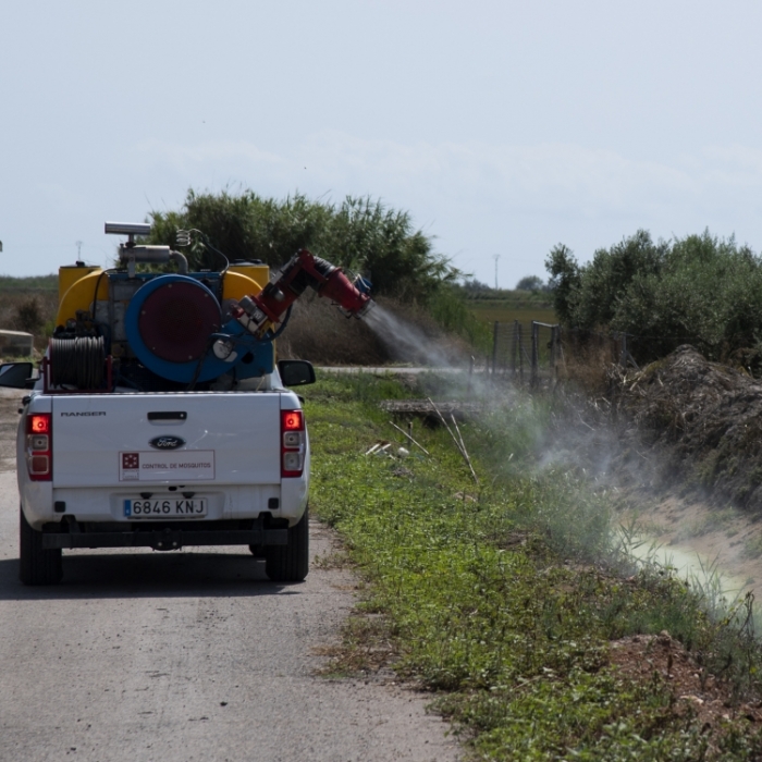 La Diputación intensifica los tratamientos contra el mosquito tigre en la provincia de Castellón