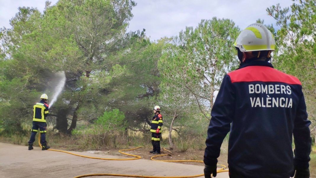 Bombers realitzen cinc simulacres d'incendi al Parc Natural de l'Albufera
