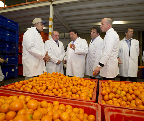 La Diputación refuerza su apuesta por el producto agrícola de la provincia prestando más apoyo a las asociaciones profesionales