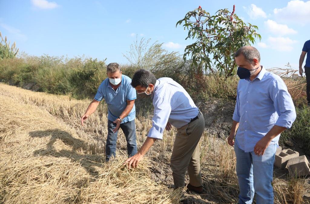 Mazón critica las restricciones al sector del arroz y denuncia que no se permite una actividad “que es ordenada y respetuosa con el medio ambiente”