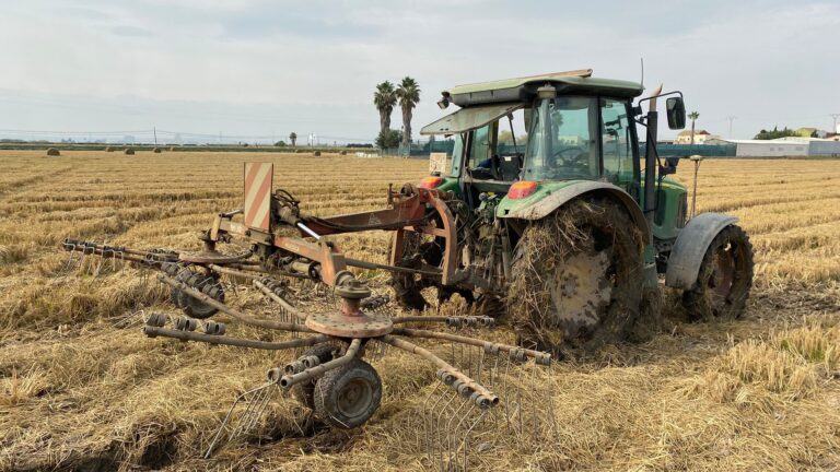 València arreplega més de 260 tones de palla de l’arròs i evita l’emissió de les més de 200 tones de diòxid de carboni que hauria generat la seua crema