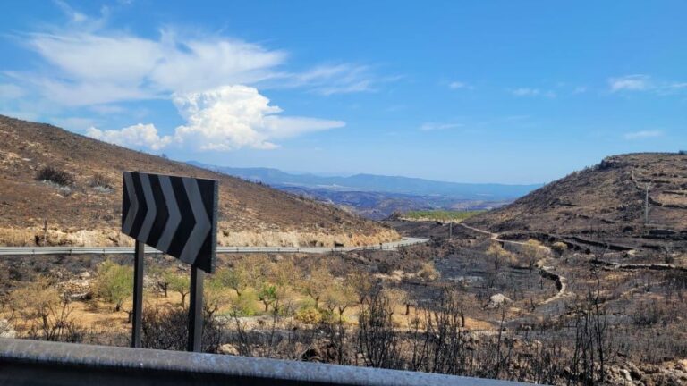 La Generalitat invierte un millón de euros para acondicionar los 50 kilómetros de carreteras afectados por los incendios de Bejís y Les Useres