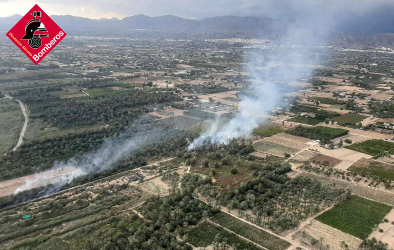 Controlado el incendio en el parque natural de El Hondo (Elche)